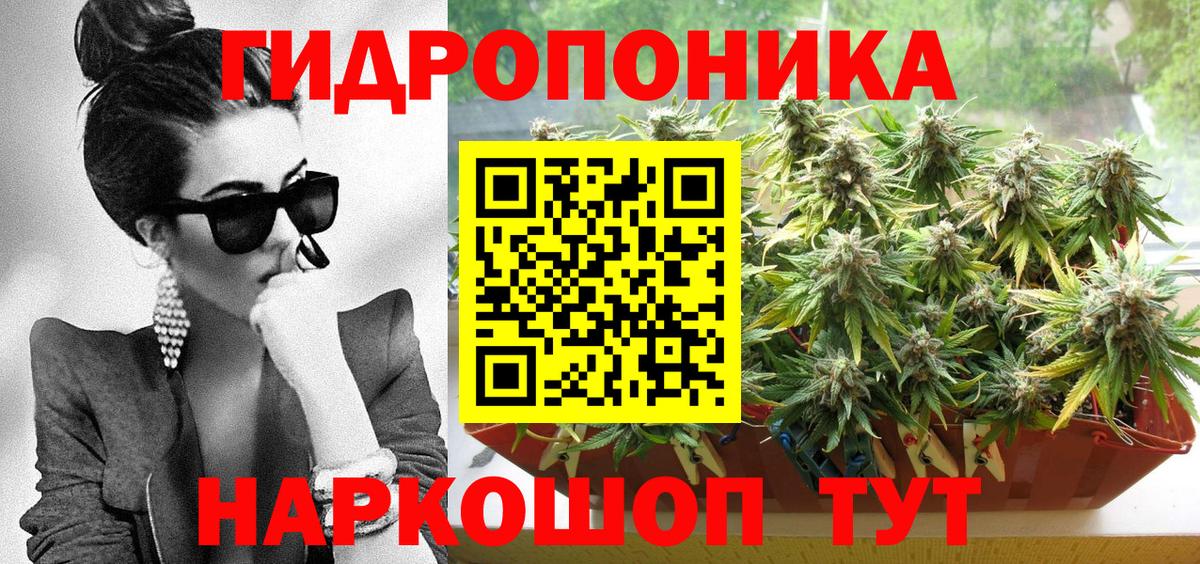 Воронеж  Бошки Шишки Amnesia  Бошки Шишки сатива  Вход с VPN  Бошки марихуана индика  Конопля конопля 